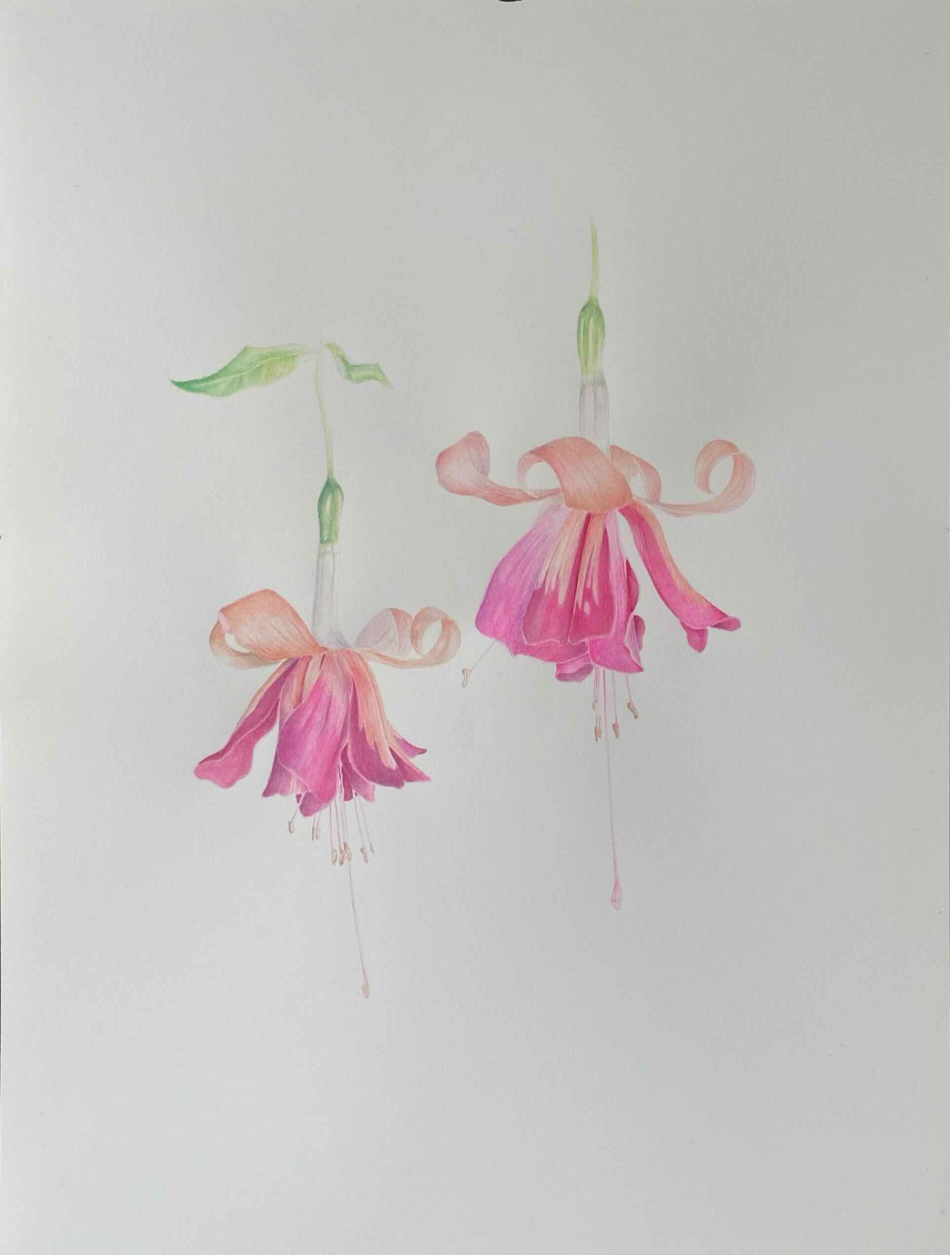 Aquarell