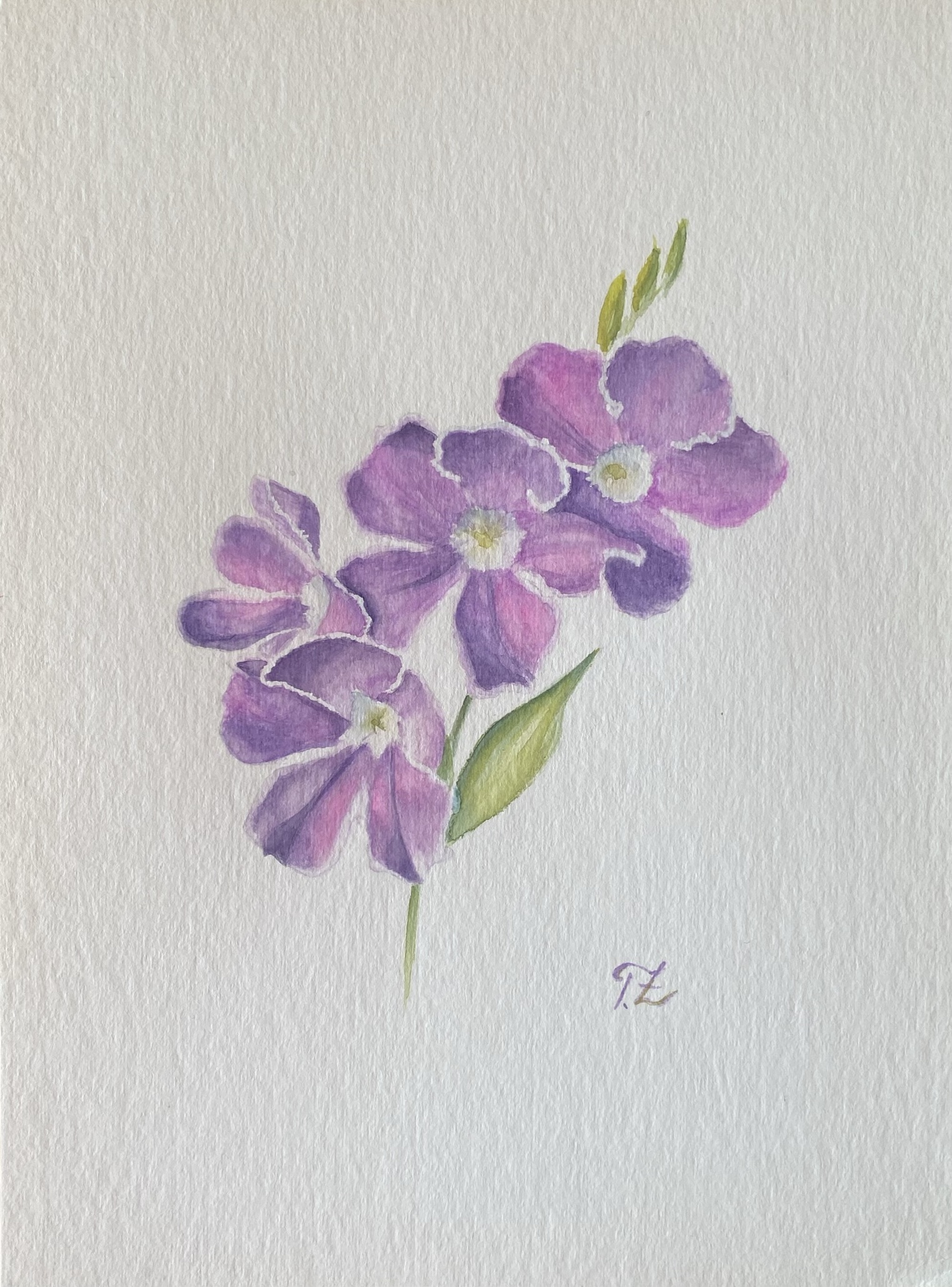 Aquarell