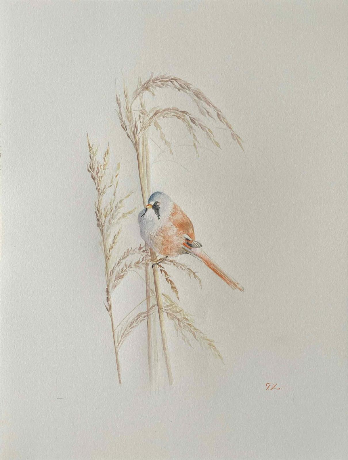 Aquarell