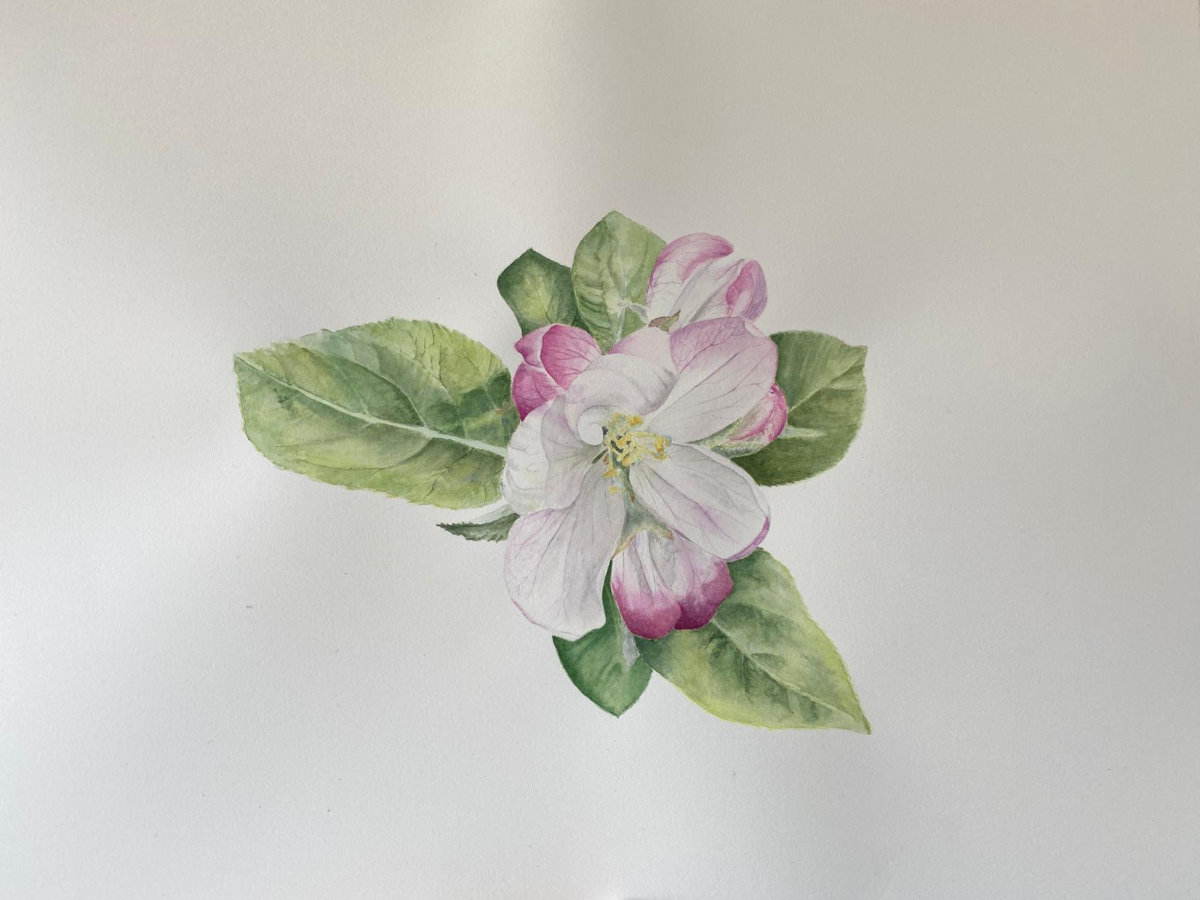 Aquarell