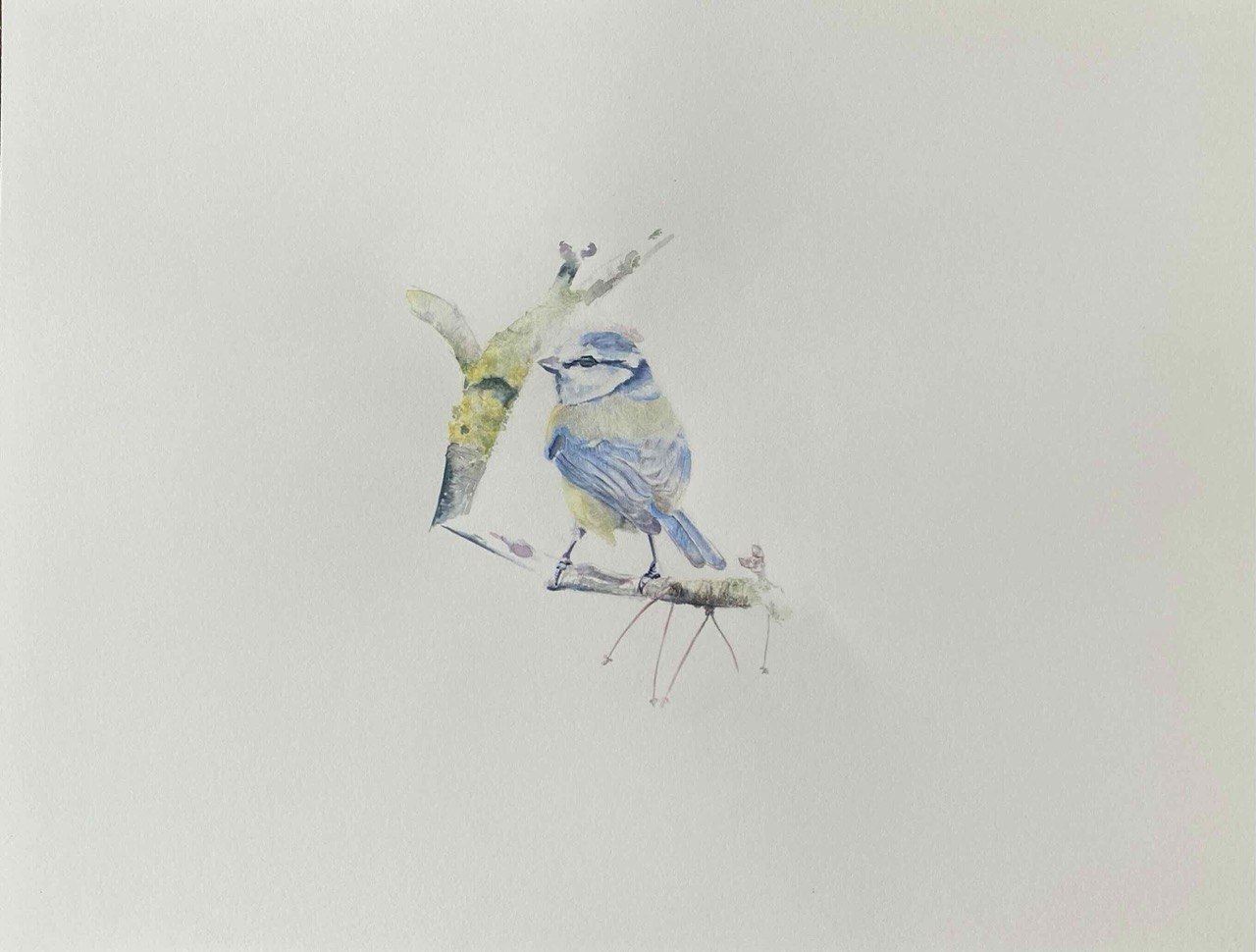 Aquarell